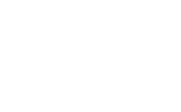 Saltex